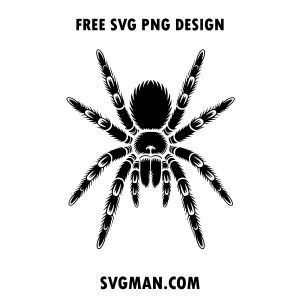 free tarantula svg png