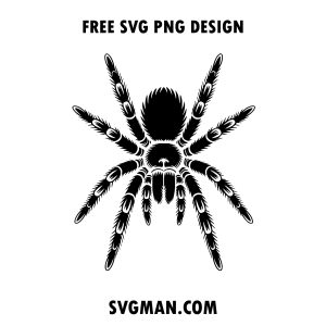 free tarantula svg png