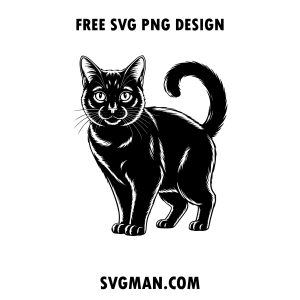 black cat svg png