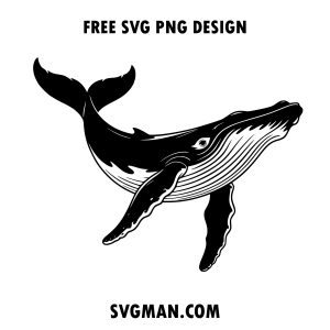 free humpback whale svg png