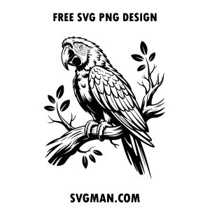 free parrot svg png