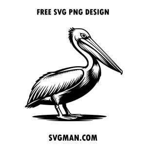 free pelican svg png