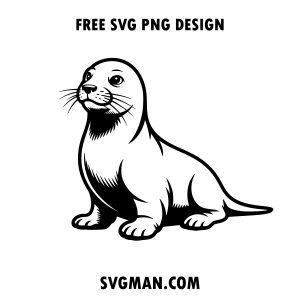 free seal svg png
