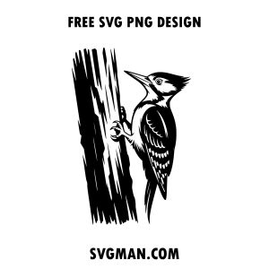 free woodpecker svg png
