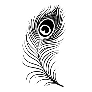 Free Peacock Feather SVG