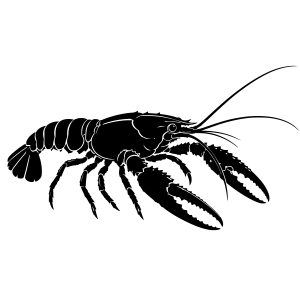FREE Crawfish SVG